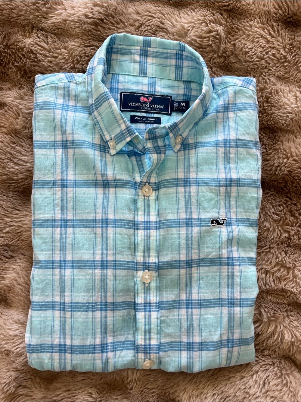 Vineyard Vines Mint and Light Blue Plaid Button-Down Shirt